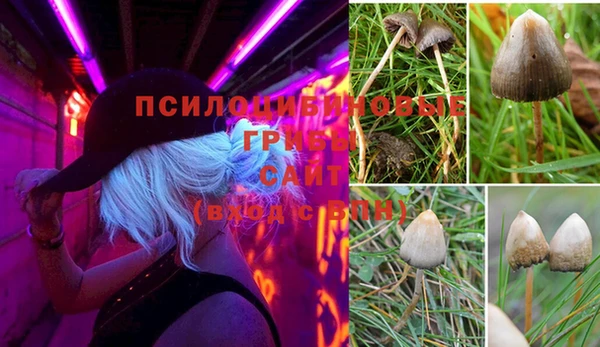 гидра Баксан